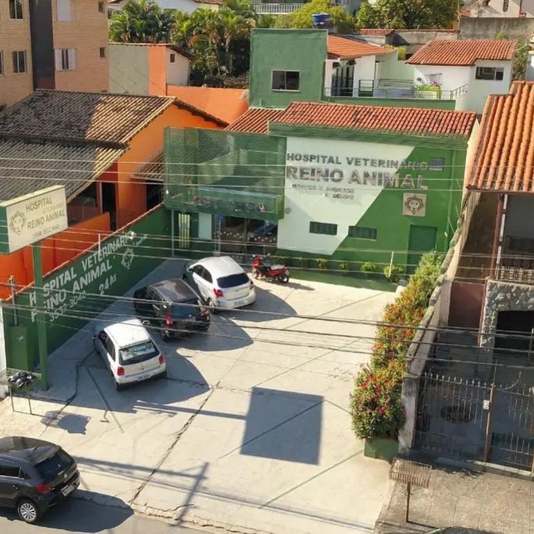Hospital Veterinário Reino Animal hoje